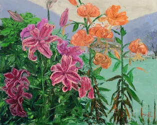 Rosa Orange Gartenlilien