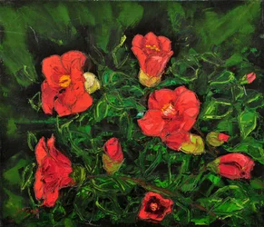 Lebendige rote Blumen