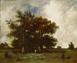 Fontainebleau-Eichen