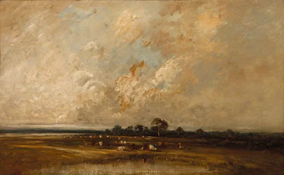 Sumpfland, 1860er-1870er