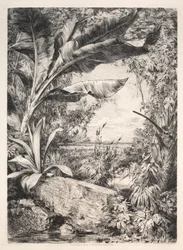 Pflanzen des Gewächshauses, 1872