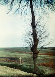 Ein Grab mit mehreren Toten am Straßenrand während der Schlacht an der Marne östlich von Paris, September 1914