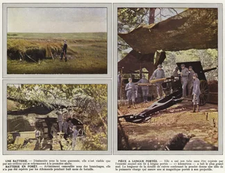 Eine Batterie, Langstreckenstück, Batterie im Wald