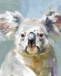 Sanfter Koala-Blick