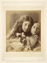 Die roten und weißen Rosen