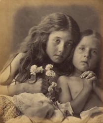 Die roten und weißen Rosen