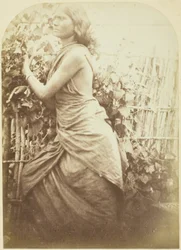 Frau, Ceylon