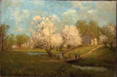 Frühlingsblüten
