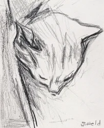 Schlafende Katze, 2015