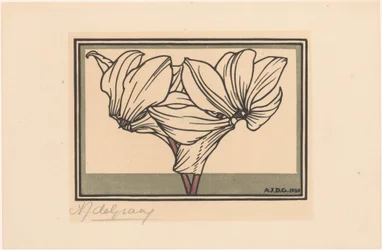 Alpenveilchen