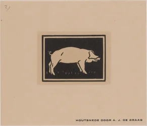 Schwein