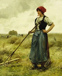 Erntezeit