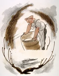 Humorvolle Wein-Illustration 1946. Illustration von Julien Pavil