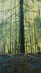 Ätherisches Waldlicht