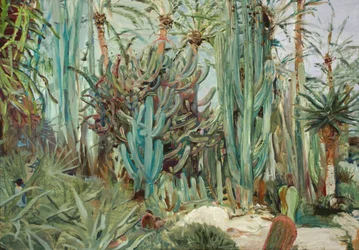 Farbenprächtiger Kakteengarten