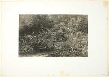 Fuchs auf der Pirsch