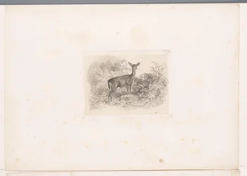 Hirschkuh im Wald (Landschaften mit Tieren, Serie)