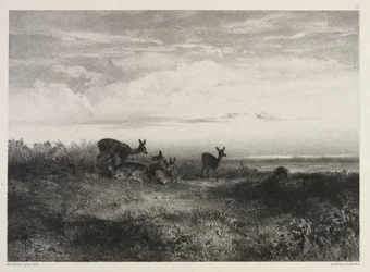 Landschaft mit Hirschen