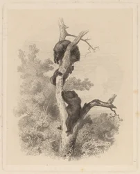 Die Bären (Les Ours)