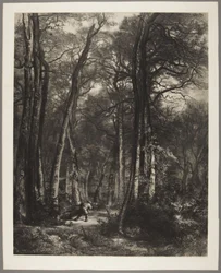 Mann im Wald