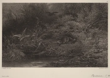Fuchs auf der Lauer