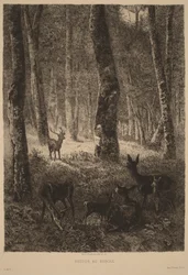 Rückkehr zum Schafstall