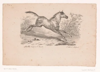 Galoppierendes Pferd in Landschaft