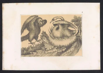 Schwan und Adler