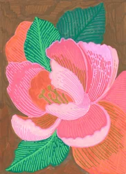 Leuchtend rosa Blumenblüte