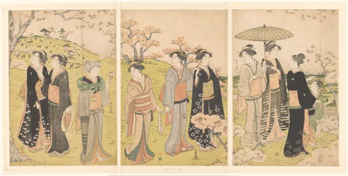 Bewundern der Kirschblüten in Asukayama