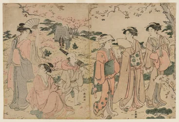 Frauen betrachten Kirschblüten in Asukayama