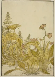 Frühlingsblumen: Veilchen und Löwenzahn, aus dem Buch "Spiegel der schönen Frauen der Vergnügungsviertel (Seiro bijin awase sugata kagami)," Bd. 1