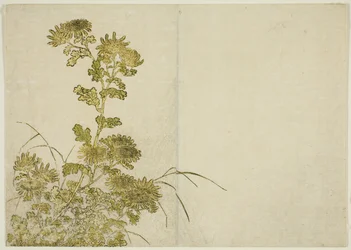 Winterblumen: Chrysanthemen, aus dem Buch "Spiegel der schönen Frauen der Vergnügungsviertel (Seiro bijin awase sugata kagami)", Bd. 1