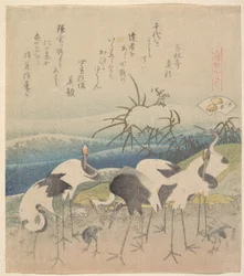 Ashi-Muschel, aus der Serie "Genroku Kasen Kai-awase"