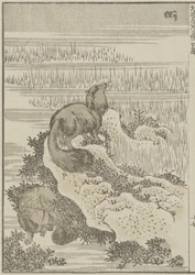 Dachs, um 1840