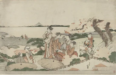 Bewundern der Kirschblüten bei Gotenyama