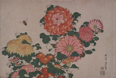 Chrysanthemen und Bremsen