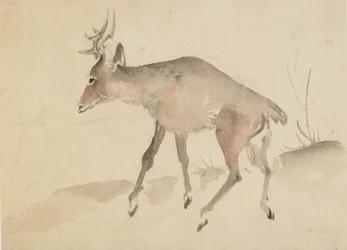Hirsch, spätes 18. bis frühes 19. Jahrhundert
