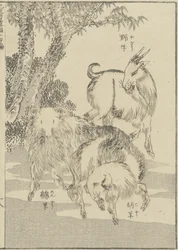 Ziegen, ca. 1840