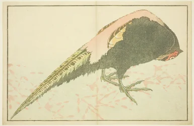 Männlicher Fasan, aus Das Bilderbuch der realistischen Malereien von Hokusai