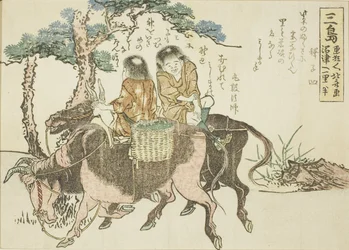 Mishima, aus einer unbetitelten Serie der dreiundfünfzig Stationen des Tokaido