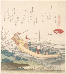 Miyako-Muschel