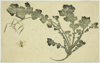 Wespe und Rübenstiel, aus "Das Bilderbuch der realistischen Malereien von Hokusai"