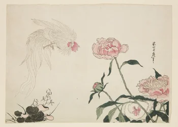 Langschwanzhähne unter Blumen