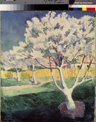 Sommerlandschaft