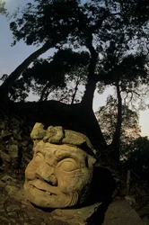 Gott N, Ceiba-Baum, Tempel, Maya, Copan, Honduras, Klassische Periode