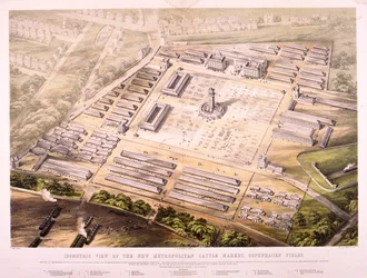 Metropolitan Viehmarkt, London, 1855