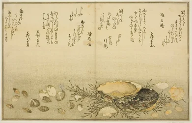 Chidori-gai, itaya-gai, awabi, utsuse-gai, asari-gai und monoara-gai, aus dem illustrierten Buch "Geschenke der Ebbe (Shiohi no tsuto)"