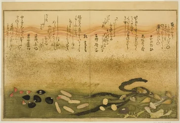 Minashi-gai, shio-gai, katatsu-gai, miso-gai, chijimi-gai und chigusa-gai, aus dem illustrierten Buch "Geschenke der Ebbe (Shiohi no tsuto)"