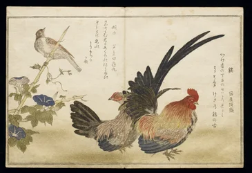 P.332-1946, Bd. 1, Bl. 8: Hahn und Henne rechts mit einer Ammer links, aus dem Album „Vögel im Vergleich in humoristischen Liedern“ („Momo Chidori Kyoka Awase“), 1791